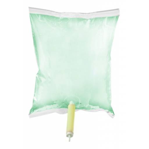 XPRESS ERVA DOCE 12 X 800 C.C