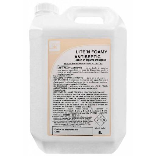 LITE N FOAMY ANTISEPTIC